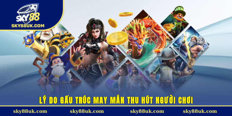 Lý do gấu trúc may mắn thu hút người chơi