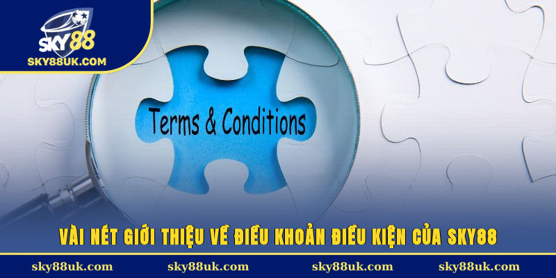 Vài nét giới thiệu về điều khoản điều kiện của Sky88