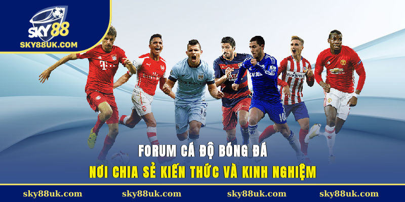 Forum Cá Độ Bóng Đá